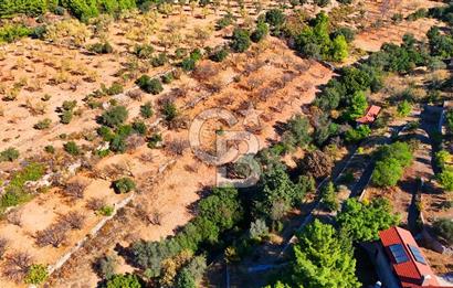 Datça Sındı'da 10.546 m² Tarla