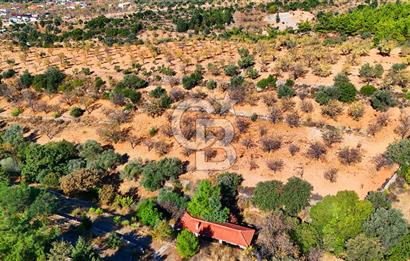 Datça Sındı'da 10.546 m² Tarla