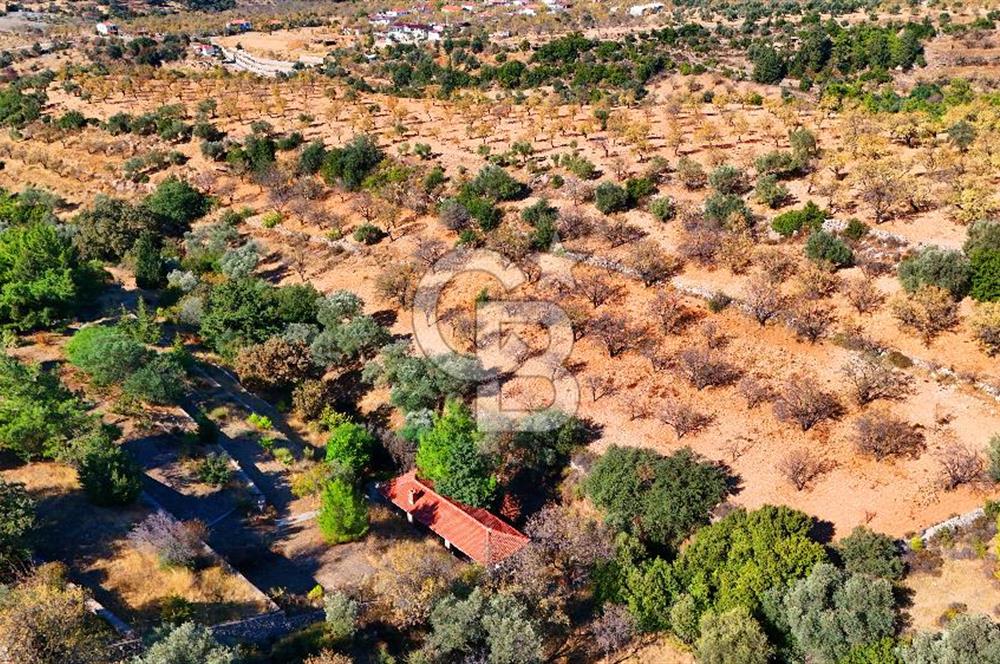 Datça Sındı'da 10.546 m² Tarla