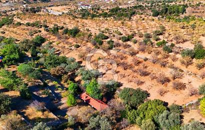 Datça Sındı'da 10.546 m² Tarla