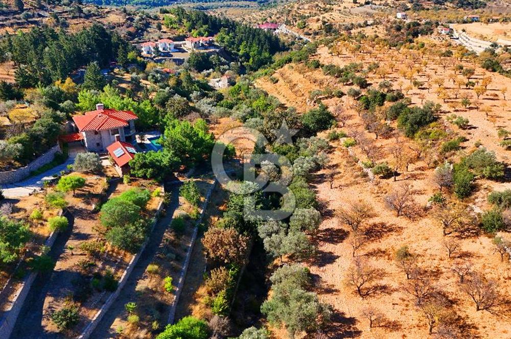 Datça Sındı'da 10.546 m² Tarla