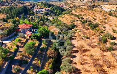 Datça Sındı'da 10.546 m² Tarla