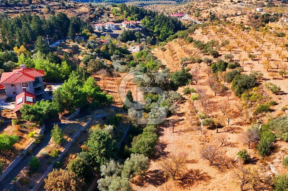 Datça Sındı'da 10.546 m² Tarla