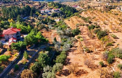 Datça Sındı'da 10.546 m² Tarla