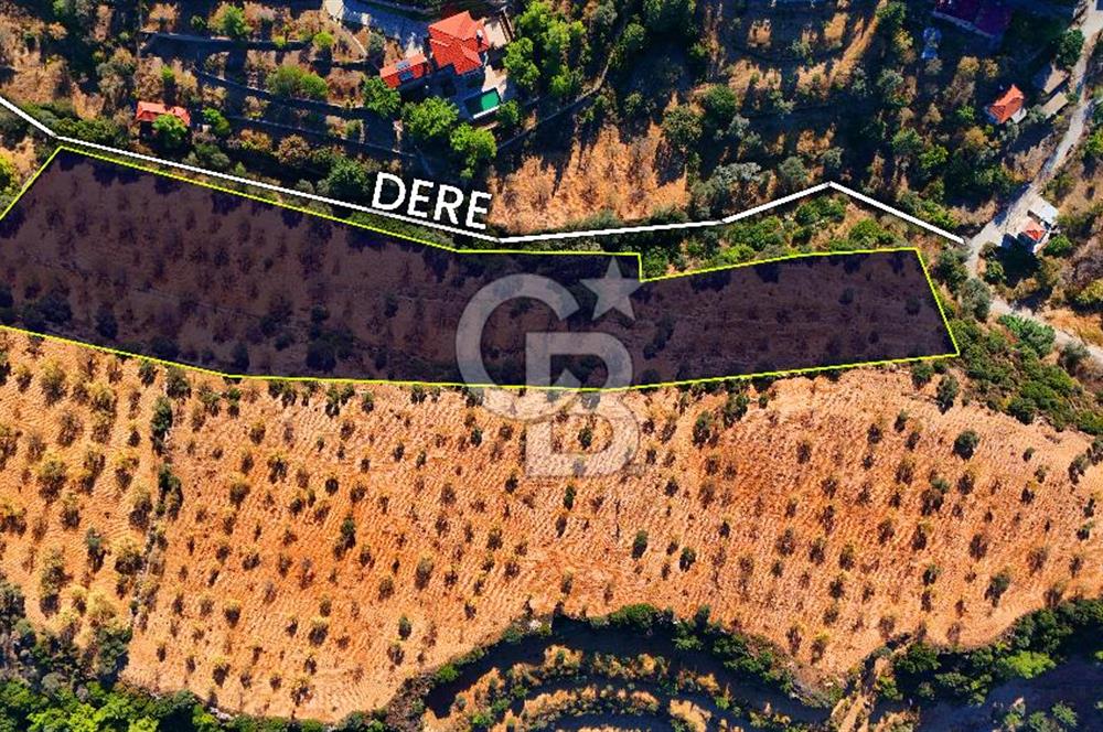 Datça Sındı'da 10.546 m² Tarla