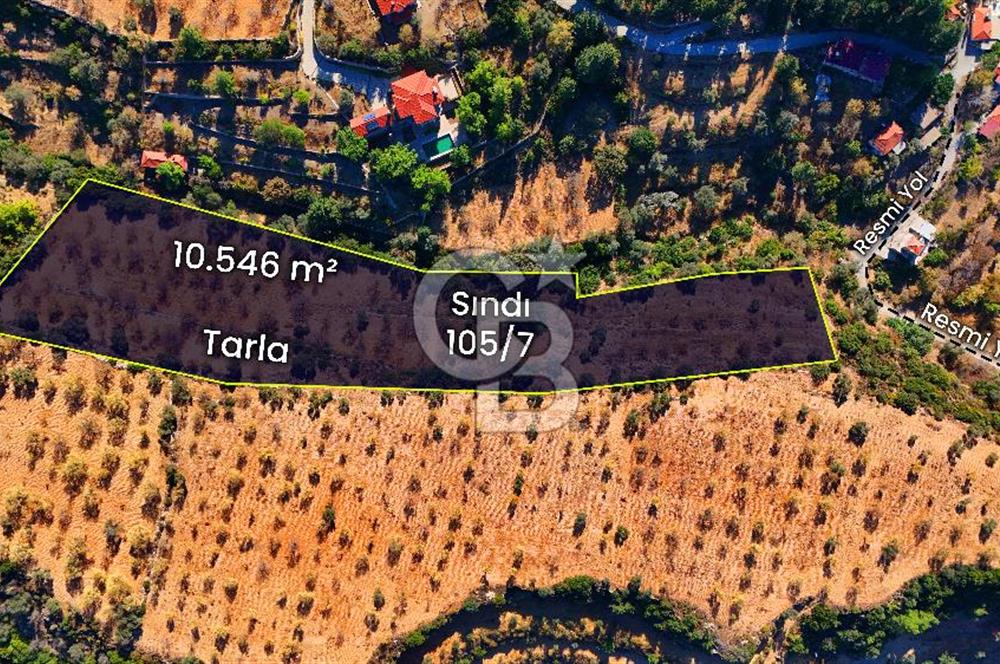 Datça Sındı'da 10.546 m² Tarla