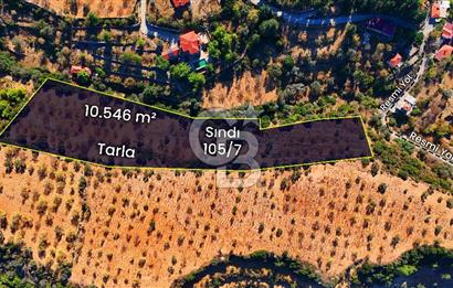 Datça Sındı'da 10.546 m² Tarla