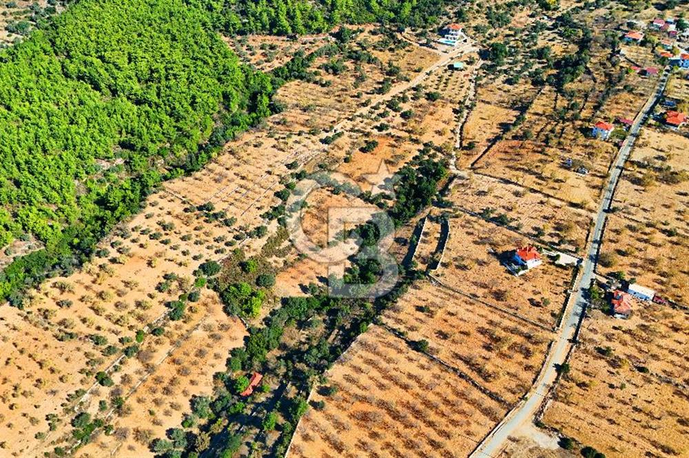 Datça Sındı'da 10.546 m² Tarla