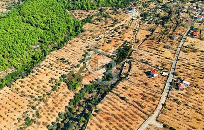 Datça Sındı'da 10.546 m² Tarla