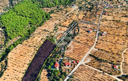 Datça Sındı'da 10.546 m² Tarla