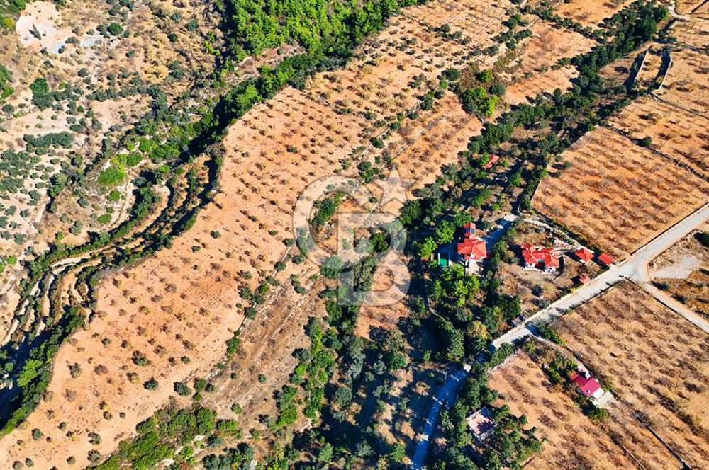 Datça Sındı'da 10.546 m² Tarla