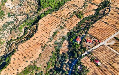 Datça Sındı'da 10.546 m² Tarla