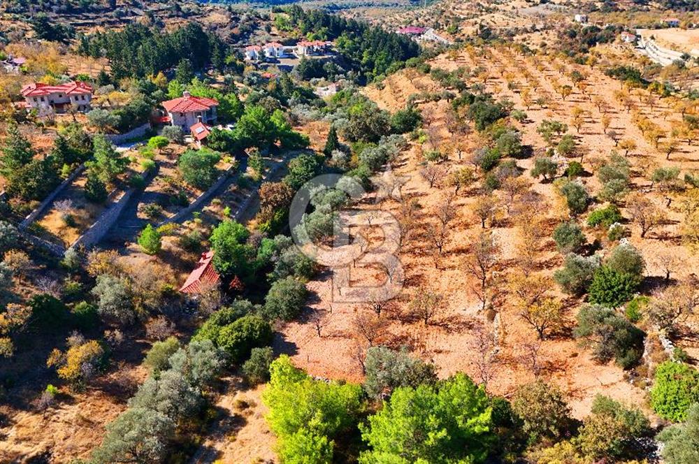 Datça Sındı'da 10.546 m² Tarla
