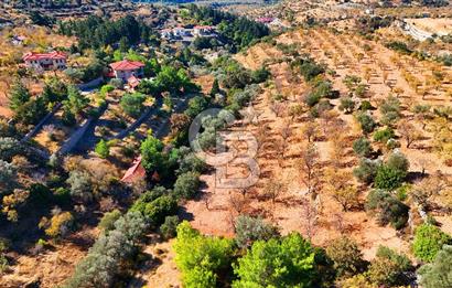 Datça Sındı'da 10.546 m² Tarla