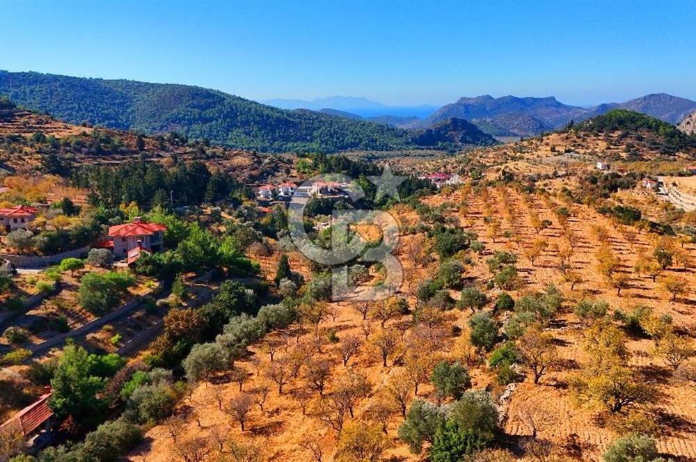 Datça Sındı'da 10.546 m² Tarla