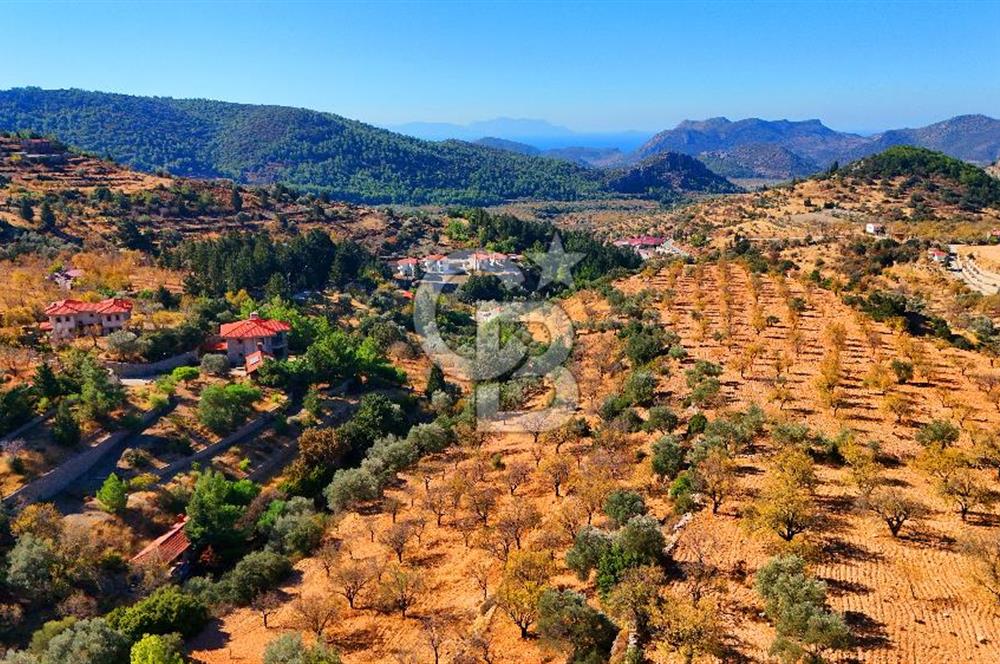 Datça Sındı'da 10.546 m² Tarla