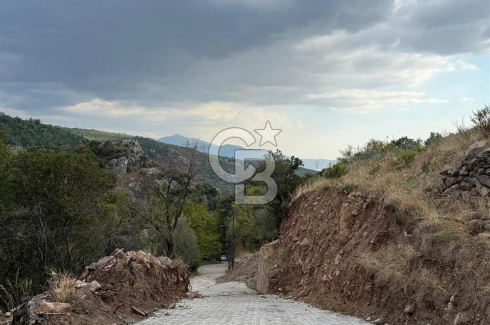 HOMEROS VADESİNDE SATILIK 948 METREKARE ZEYTİNLİK