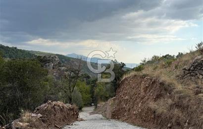 HOMEROS VADESİNDE SATILIK 948 METREKARE ZEYTİNLİK