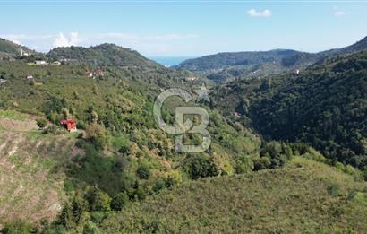 YEŞİLYURT'DA MERKEZİ KONUMDA SATILIK ARSA