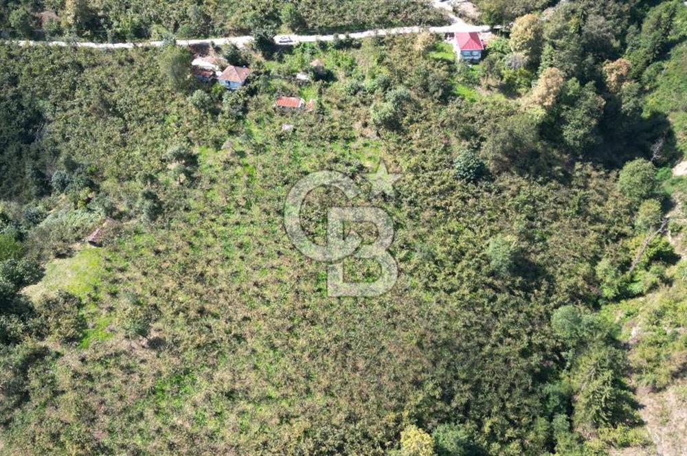 YEŞİLYURT'DA MERKEZİ KONUMDA SATILIK ARSA