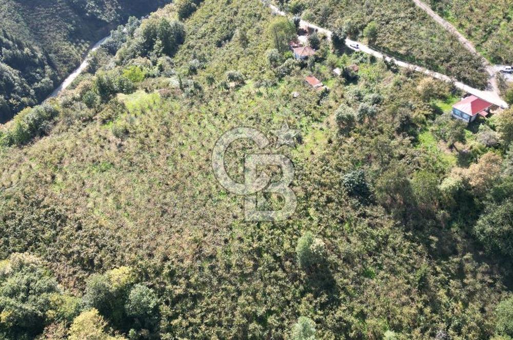 YEŞİLYURT'DA MERKEZİ KONUMDA SATILIK ARSA