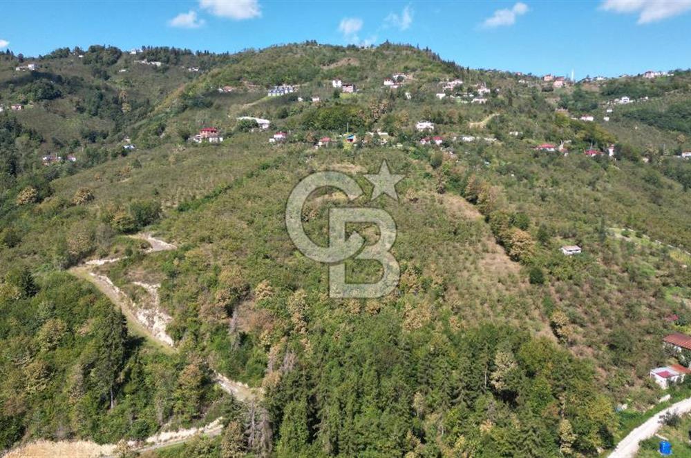 YEŞİLYURT'DA MERKEZİ KONUMDA SATILIK ARSA