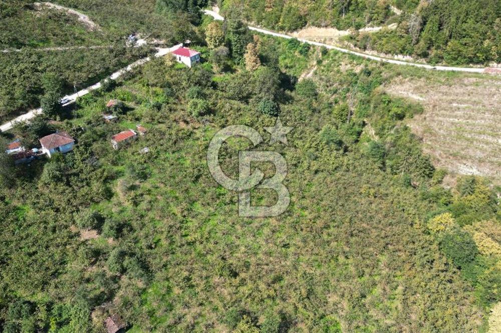 YEŞİLYURT'DA MERKEZİ KONUMDA SATILIK ARSA