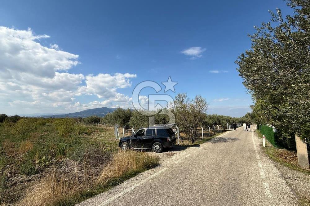 KEMALPAŞA ÖRENDE 4162 METRE KARE SATILIK BAĞ-BAHÇE