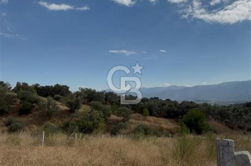 KEMALPAŞA ÖRENDE 4162 METRE KARE SATILIK BAĞ-BAHÇE