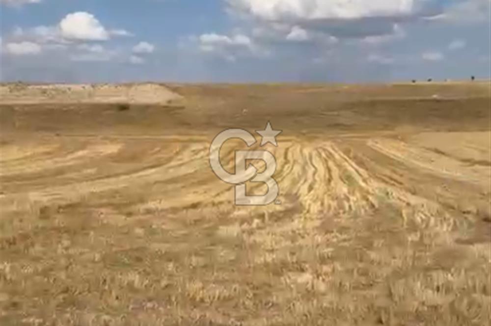 KÜTAHYA MERKEZ KEPEZ MEVKİİ FIRSAT ARAZİ