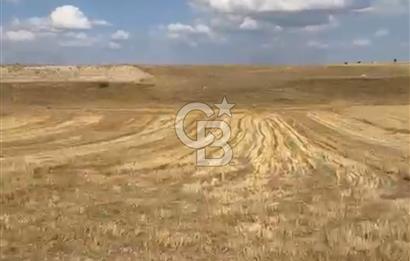 KÜTAHYA KEPEZ FIRSAT ARAZİ 