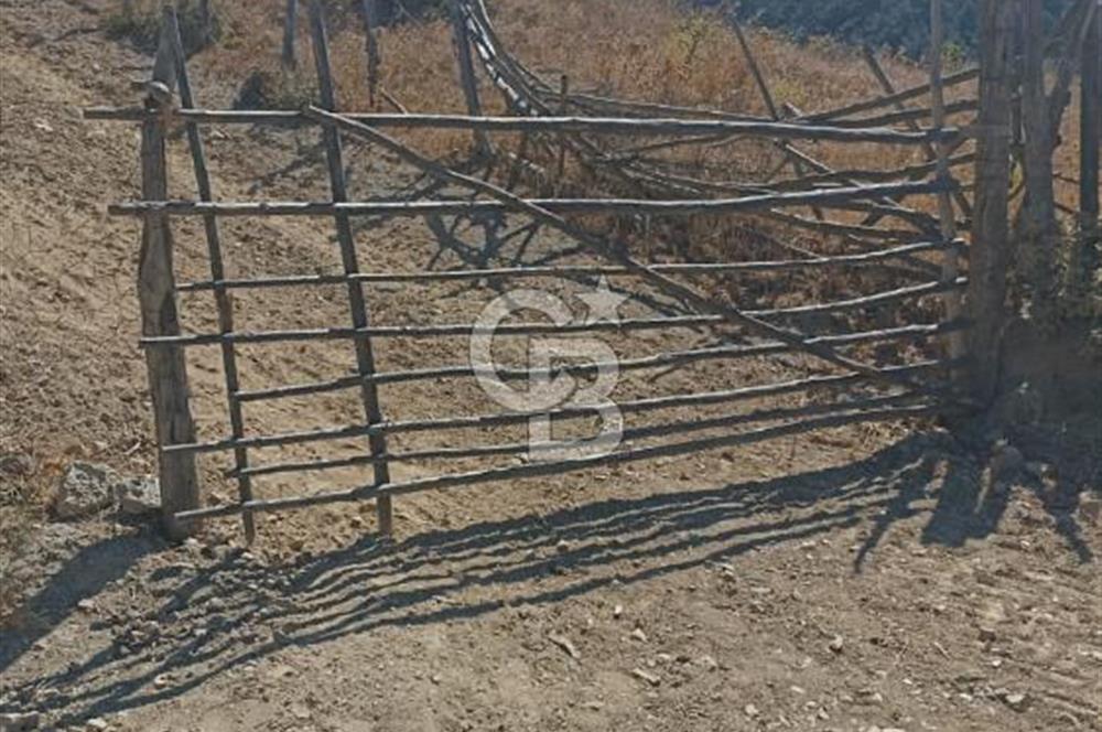 Bergamada şahane çiftlik arazisi