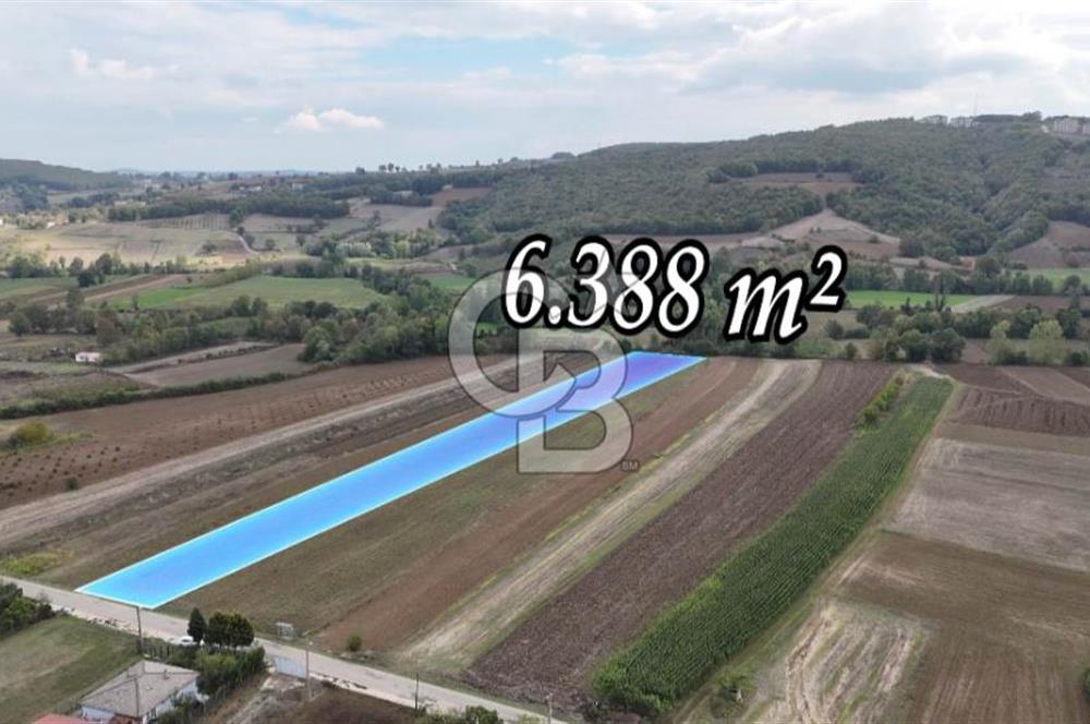 SAKARYA ADAPAZARI AŞIRLAR'DA YOL CEPHE SATILIK TARLA