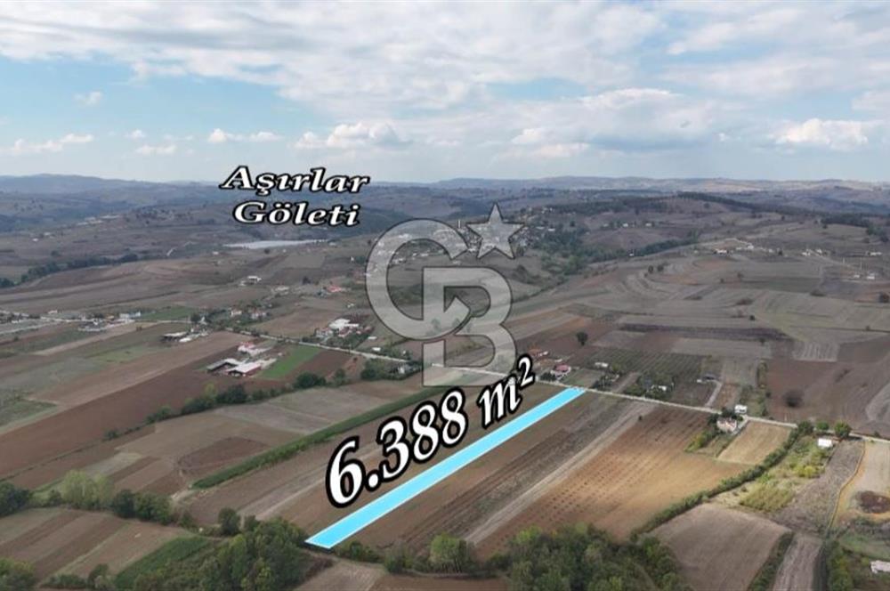 SAKARYA ADAPAZARI AŞIRLAR'DA YOL CEPHE SATILIK TARLA