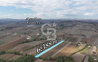 SAKARYA ADAPAZARI AŞIRLAR'DA YOL CEPHE SATILIK TARLA