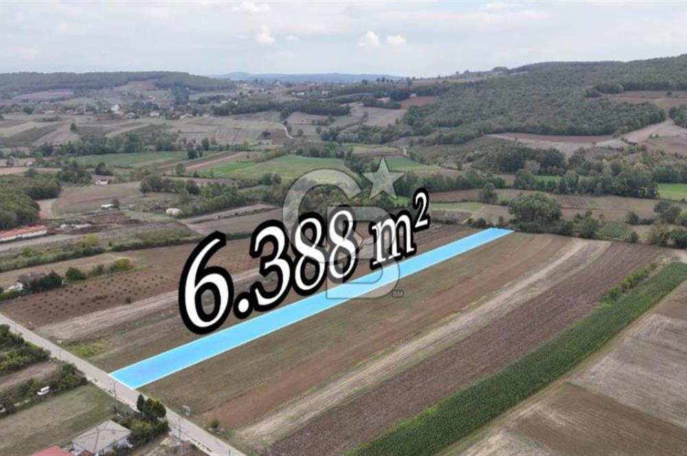 SAKARYA ADAPAZARI AŞIRLAR'DA YOL CEPHE SATILIK TARLA