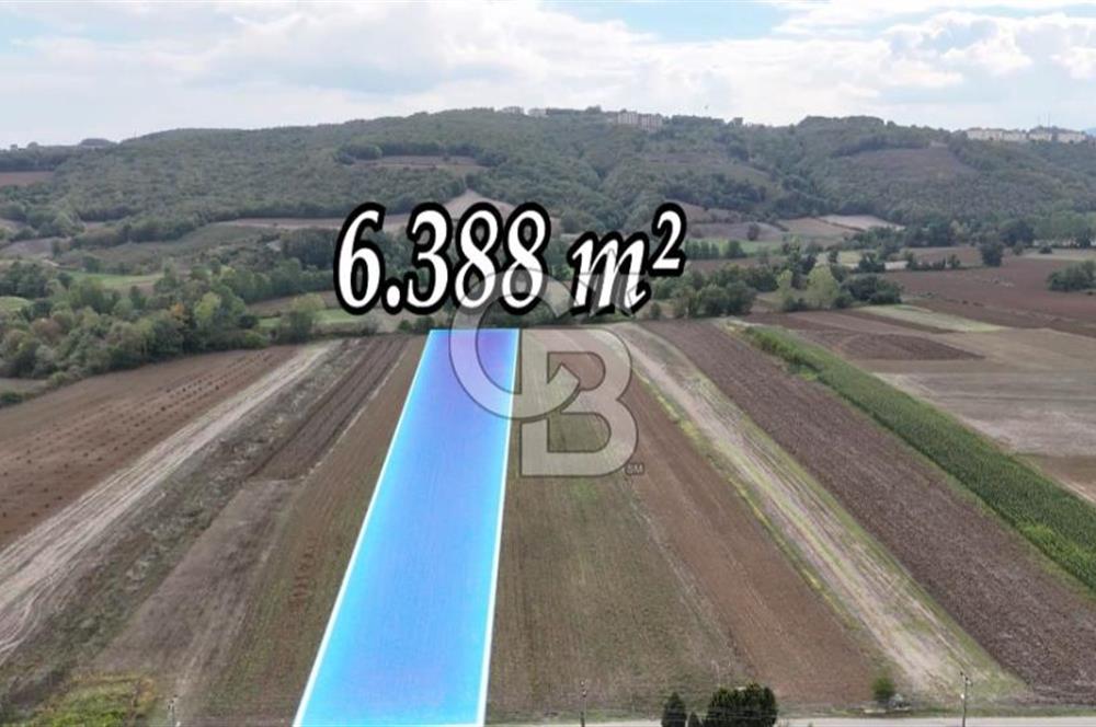 SAKARYA ADAPAZARI AŞIRLAR'DA YOL CEPHE SATILIK TARLA
