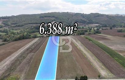 SAKARYA ADAPAZARI AŞIRLAR'DA YOL CEPHE SATILIK TARLA
