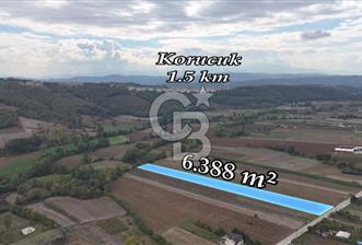 SAKARYA ADAPAZARI AŞIRLAR'DA YOL CEPHE SATILIK TARLA