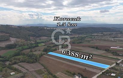 SAKARYA ADAPAZARI AŞIRLAR'DA YOL CEPHE SATILIK TARLA