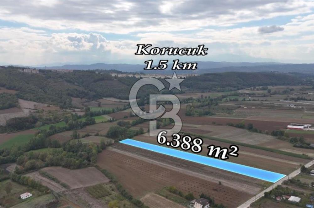 SAKARYA ADAPAZARI AŞIRLAR'DA YOL CEPHE SATILIK TARLA