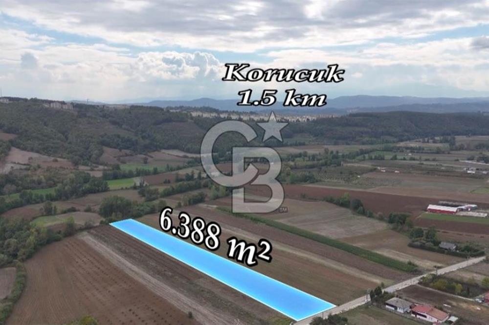 SAKARYA ADAPAZARI AŞIRLAR'DA YOL CEPHE SATILIK TARLA