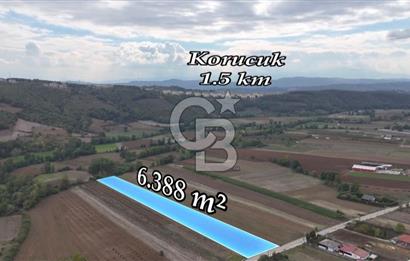 SAKARYA ADAPAZARI AŞIRLAR'DA YOL CEPHE SATILIK TARLA