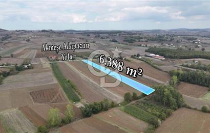 SAKARYA ADAPAZARI AŞIRLAR'DA YOL CEPHE SATILIK TARLA