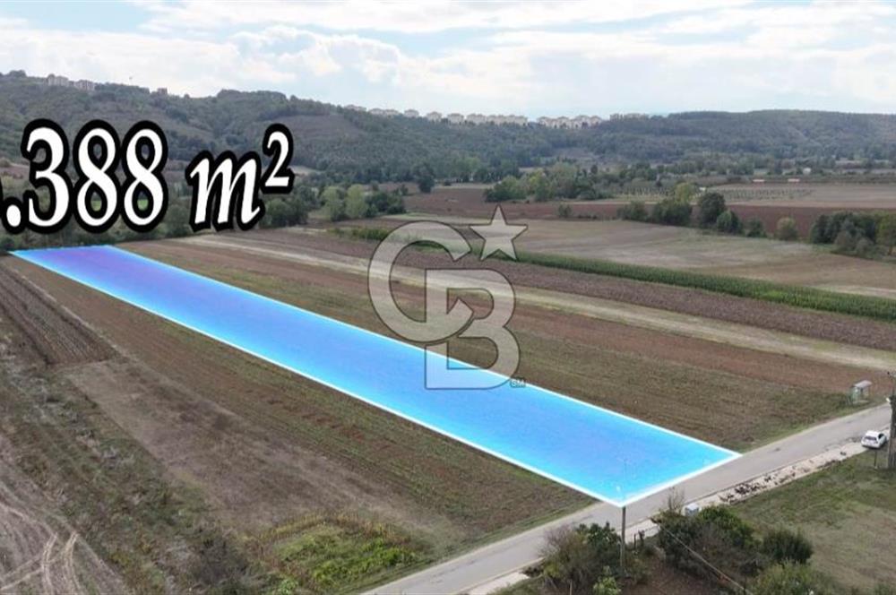 SAKARYA ADAPAZARI AŞIRLAR'DA YOL CEPHE SATILIK TARLA