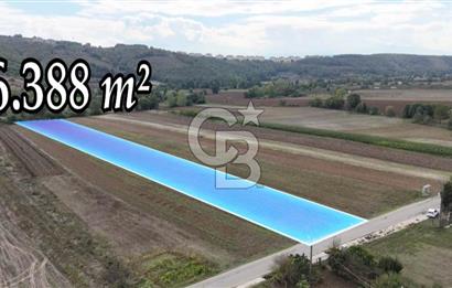 SAKARYA ADAPAZARI AŞIRLAR'DA YOL CEPHE SATILIK TARLA
