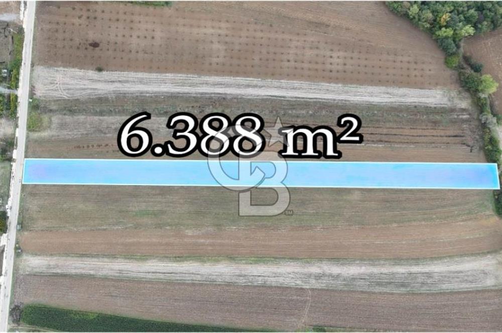 SAKARYA ADAPAZARI AŞIRLAR'DA YOL CEPHE SATILIK TARLA