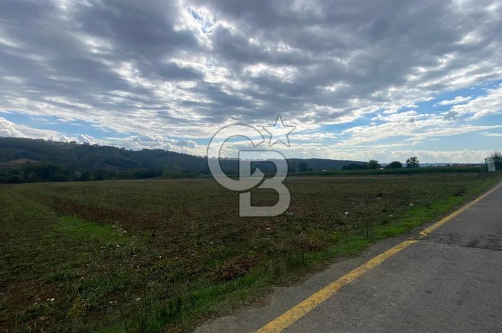 SAKARYA ADAPAZARI AŞIRLAR'DA YOL CEPHE SATILIK TARLA