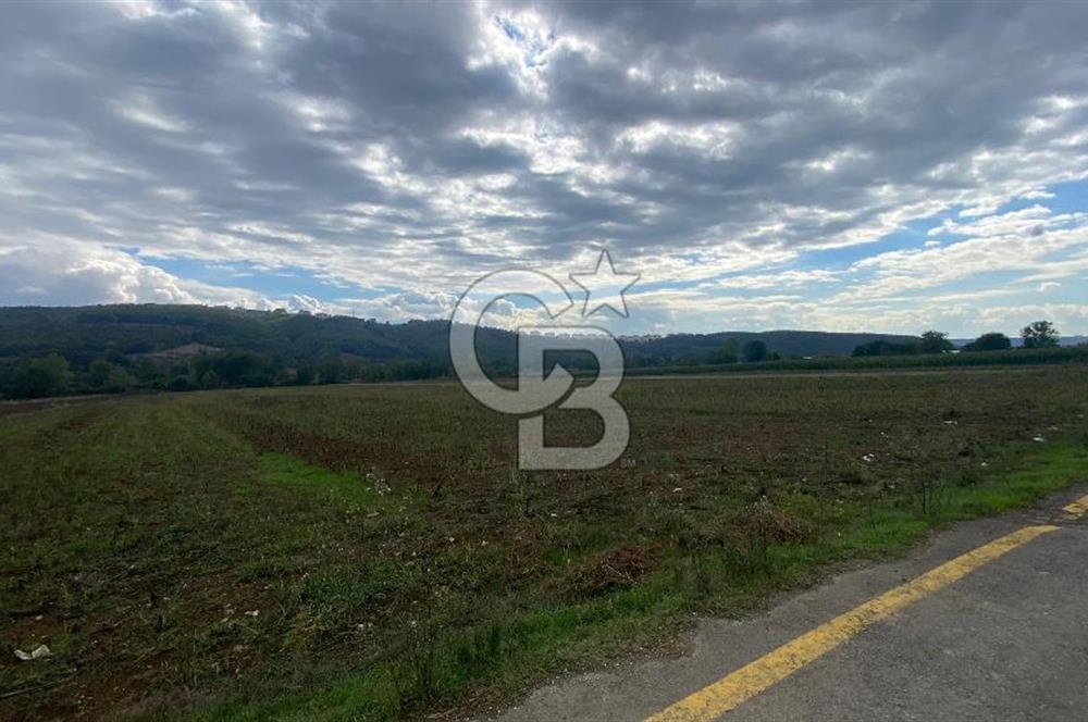 SAKARYA ADAPAZARI AŞIRLAR'DA YOL CEPHE SATILIK TARLA