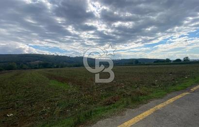 SAKARYA ADAPAZARI AŞIRLAR'DA YOL CEPHE SATILIK TARLA